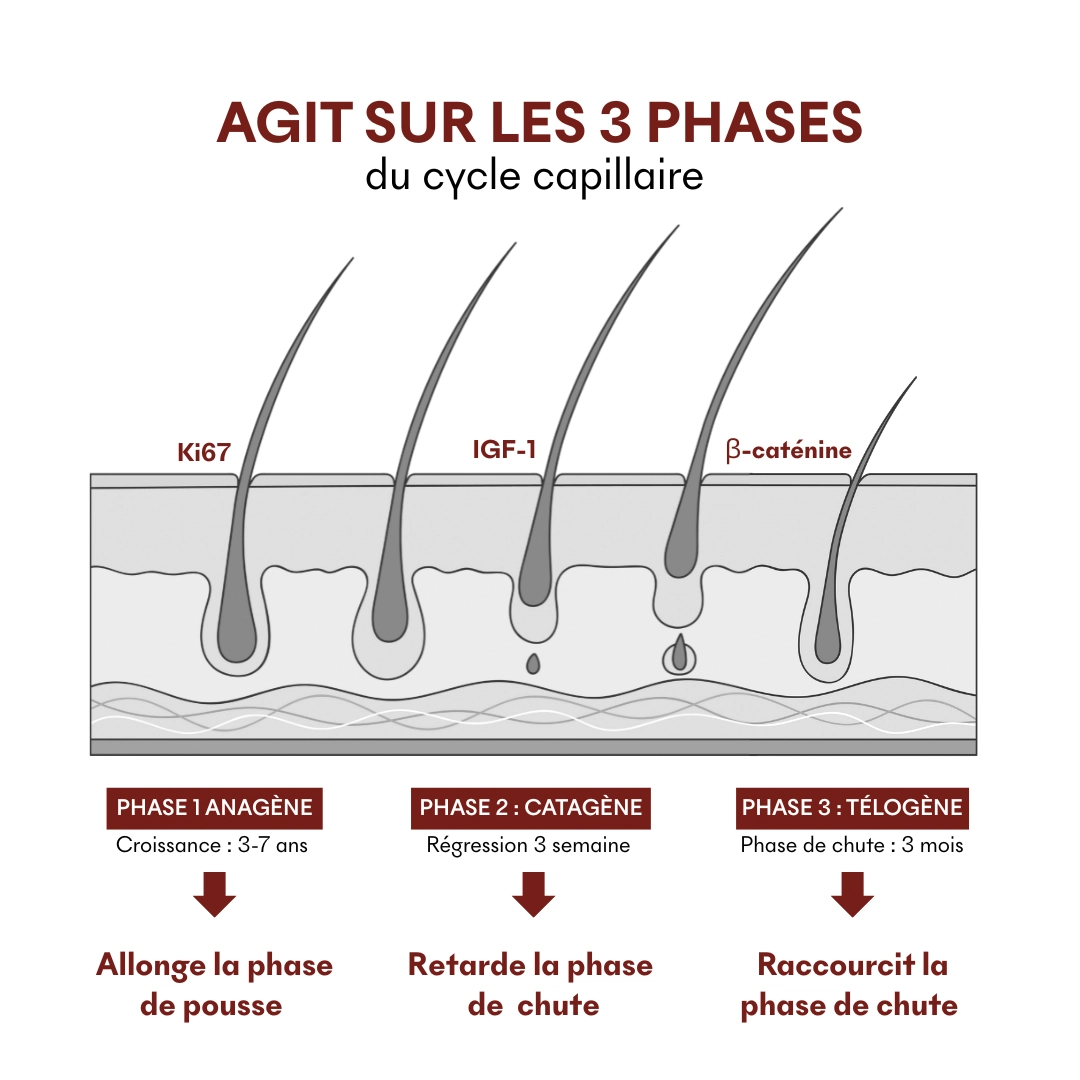 Serum Croissance Tricho-Boost — vue 7