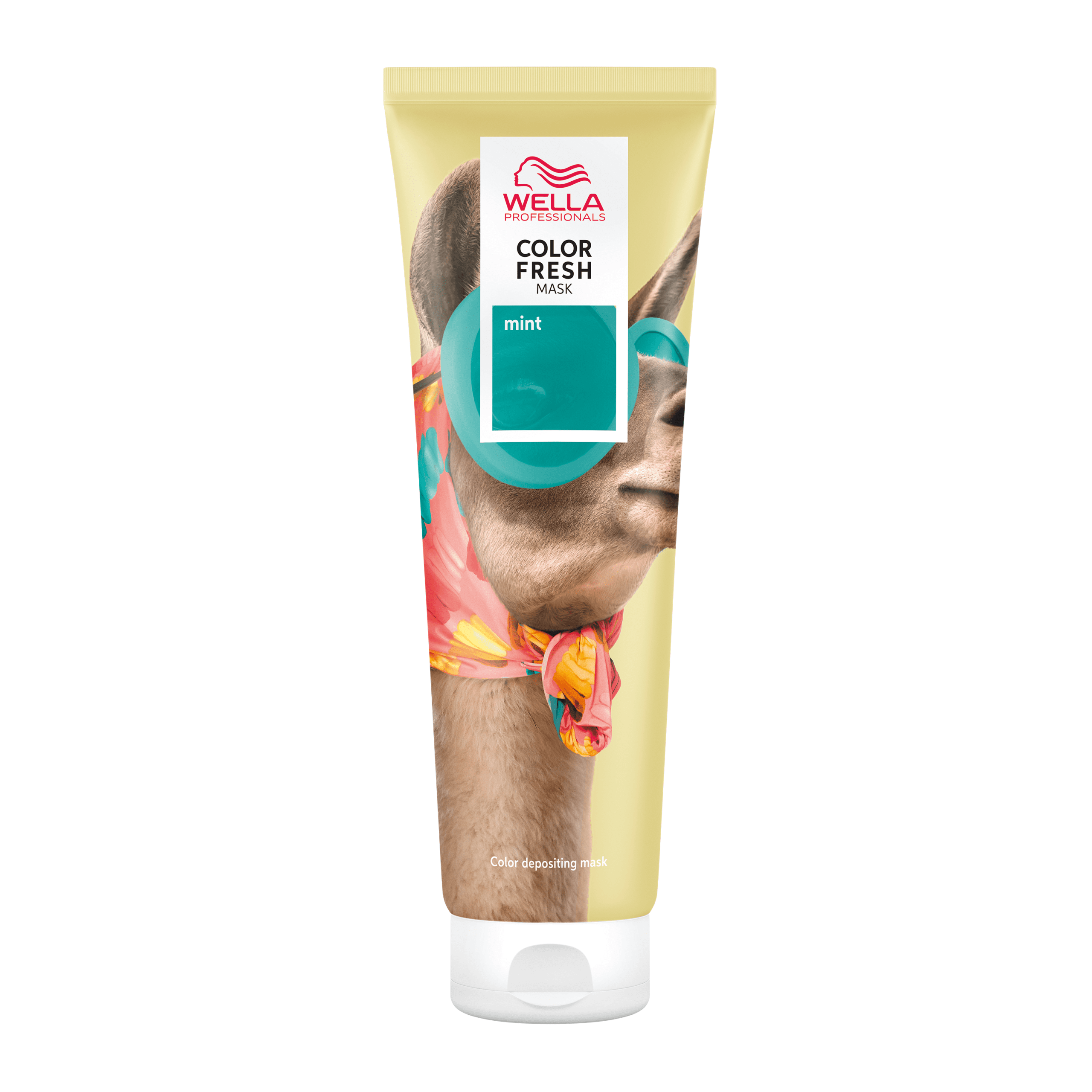 Color Fresh Mask Masque coloration temporaire Mint 150ml