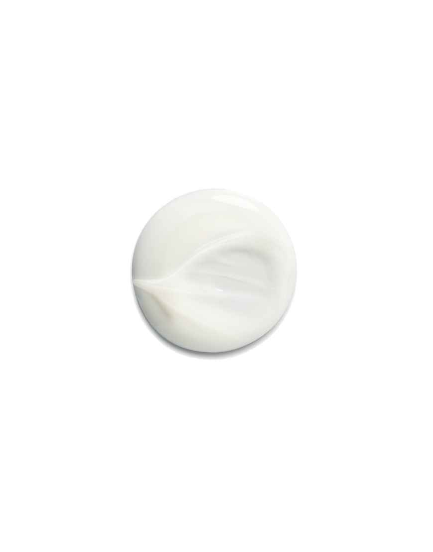 shampoing silk bloom — vue 3