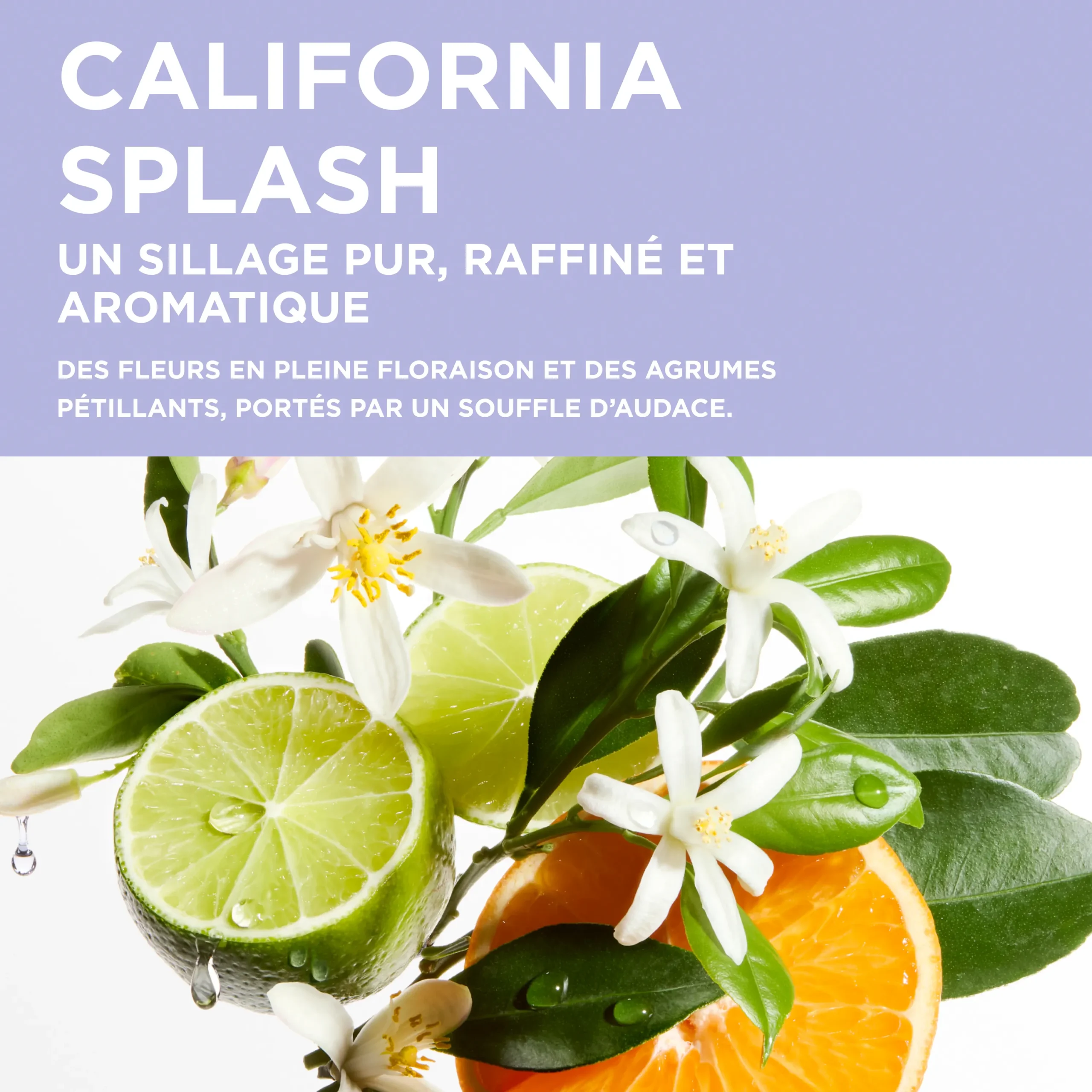 Fondant Cicaflash Blond Absolu Kérastase — vue 5