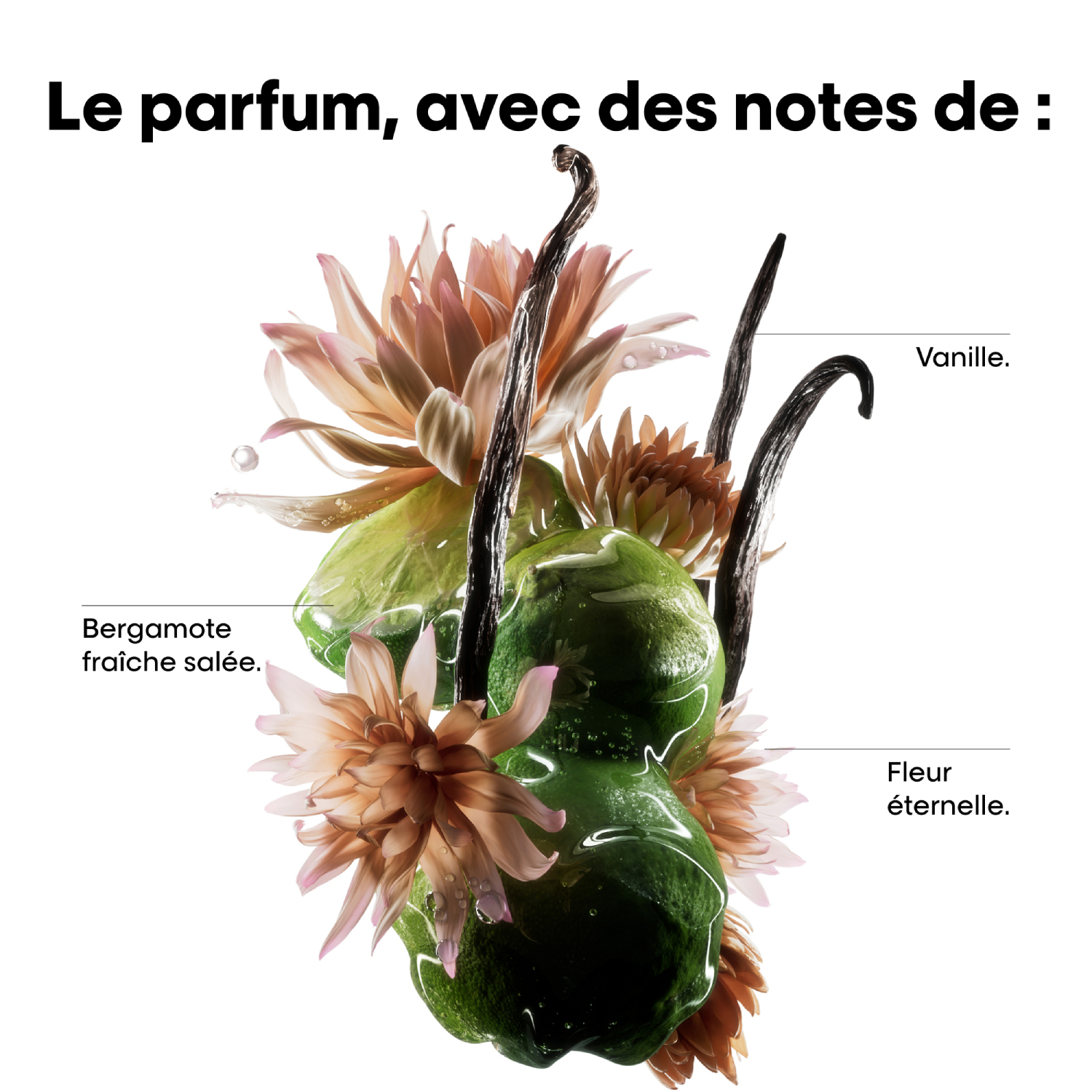 Masque Concentré Professionnel – Serie Expert Absolut Repair Molecular — vue 7