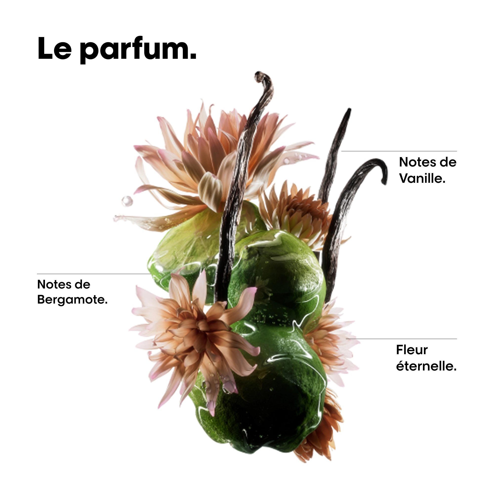 Huile Absolut Repair Molecular — vue 5