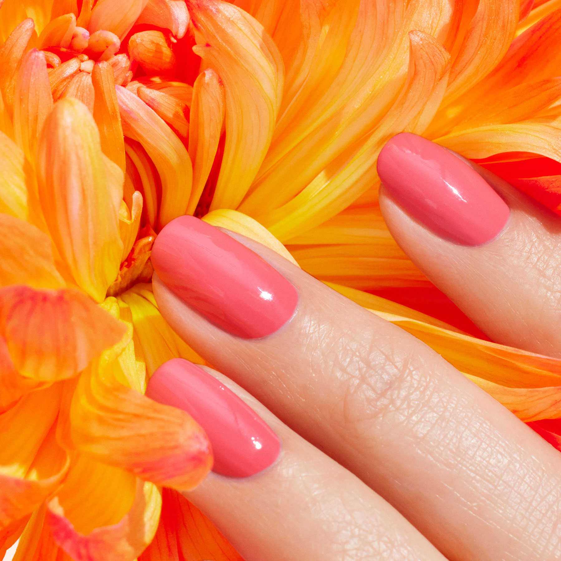 Vernis GREEN – CAPUCINE — vue 3