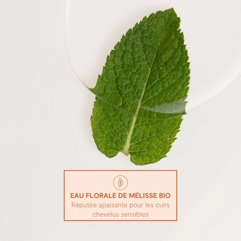 Shampoing Nourrissant — vue 10