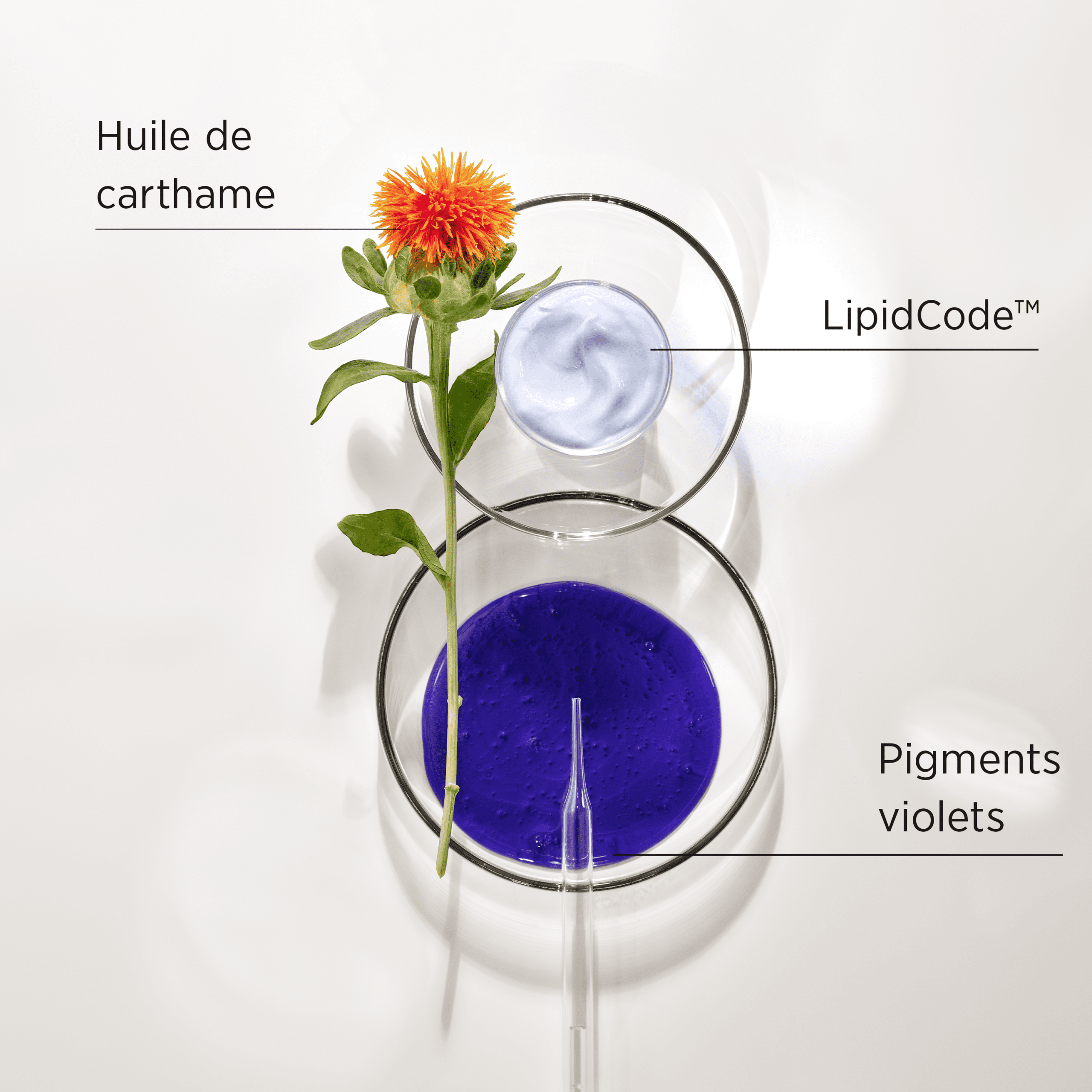 Shampoing pour tous types de blonds – LuxeBlond — vue 4