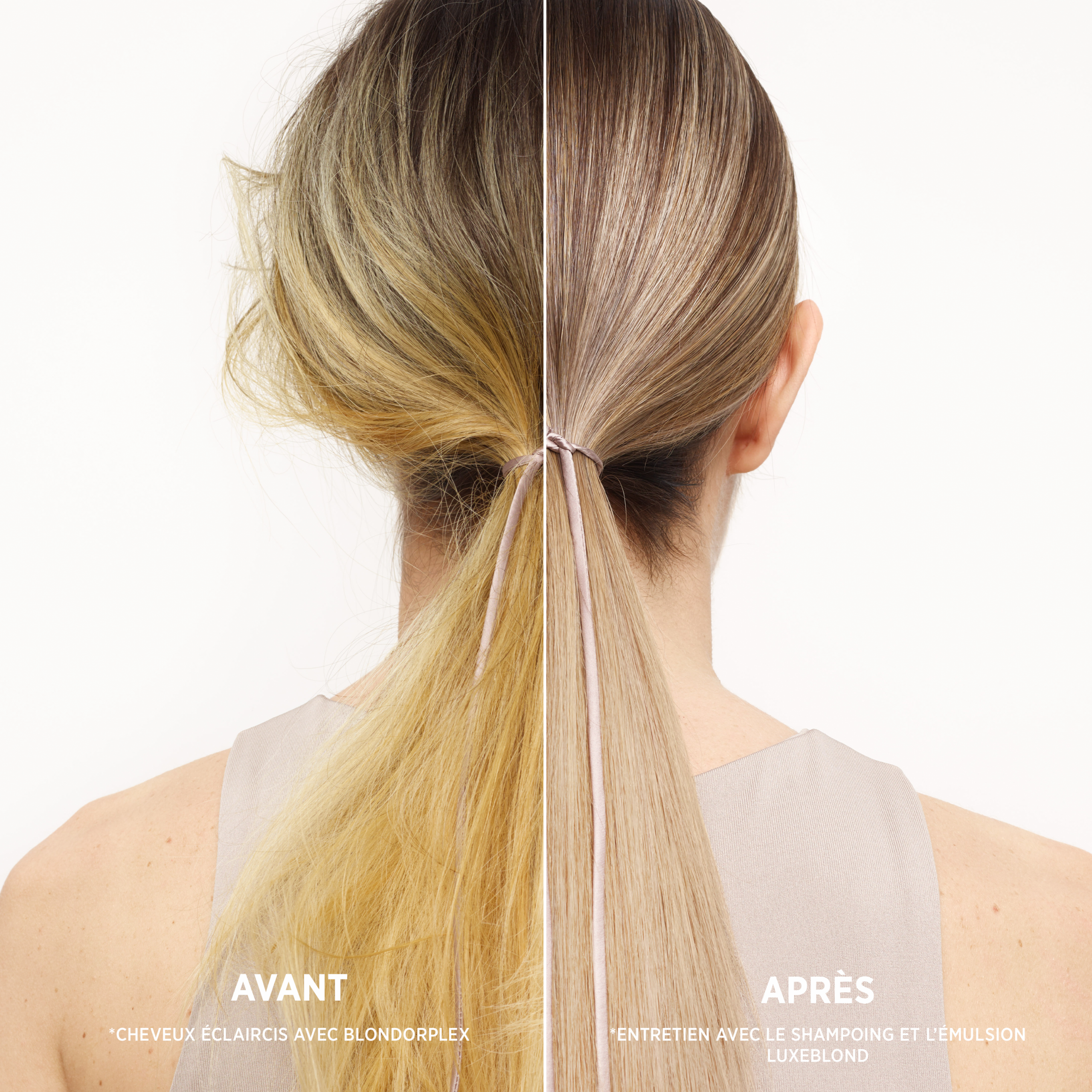 Shampoing pour tous types de blonds – LuxeBlond — vue 6