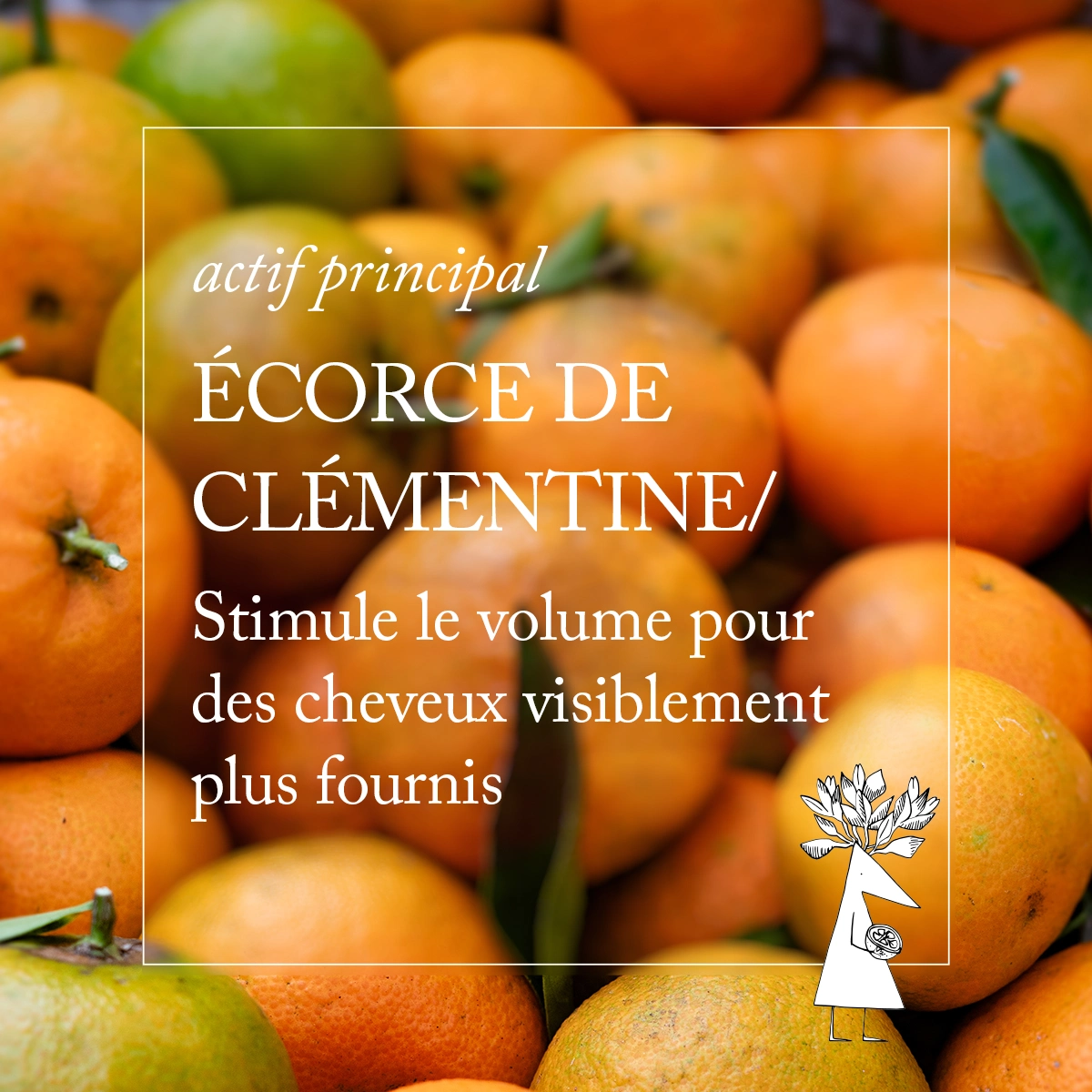 Actif principal de la gamme Volu de Davines — vue 5