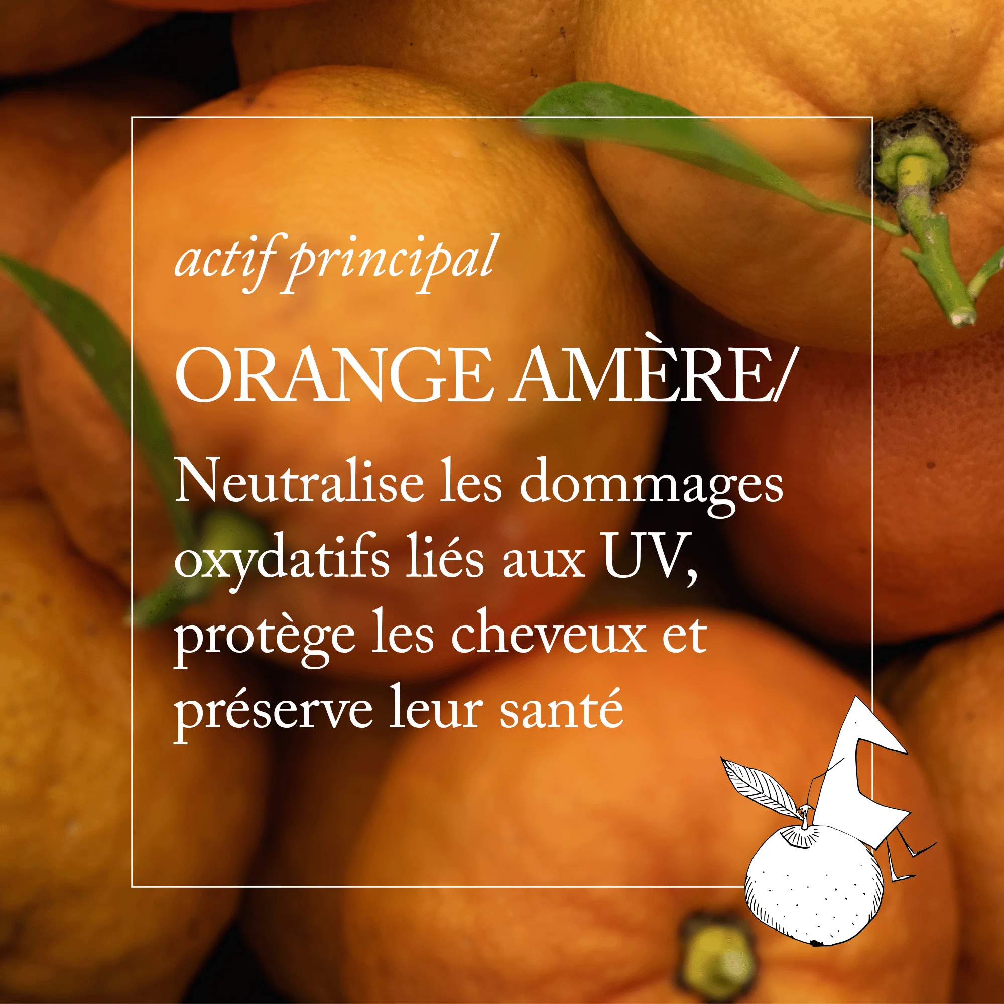 Actif principal de la gamme SU de Davines — vue 3