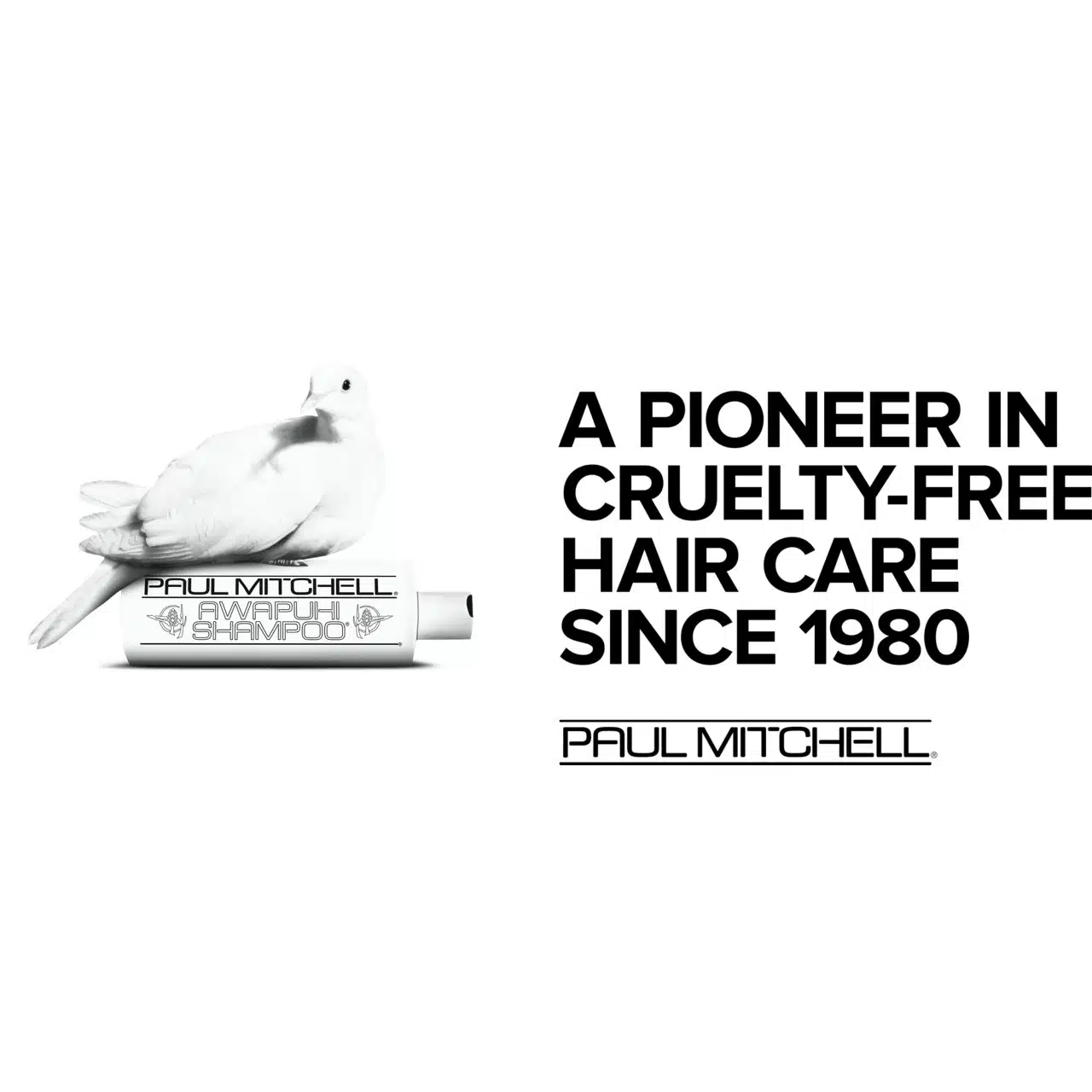 Shampoo One® — vue 4