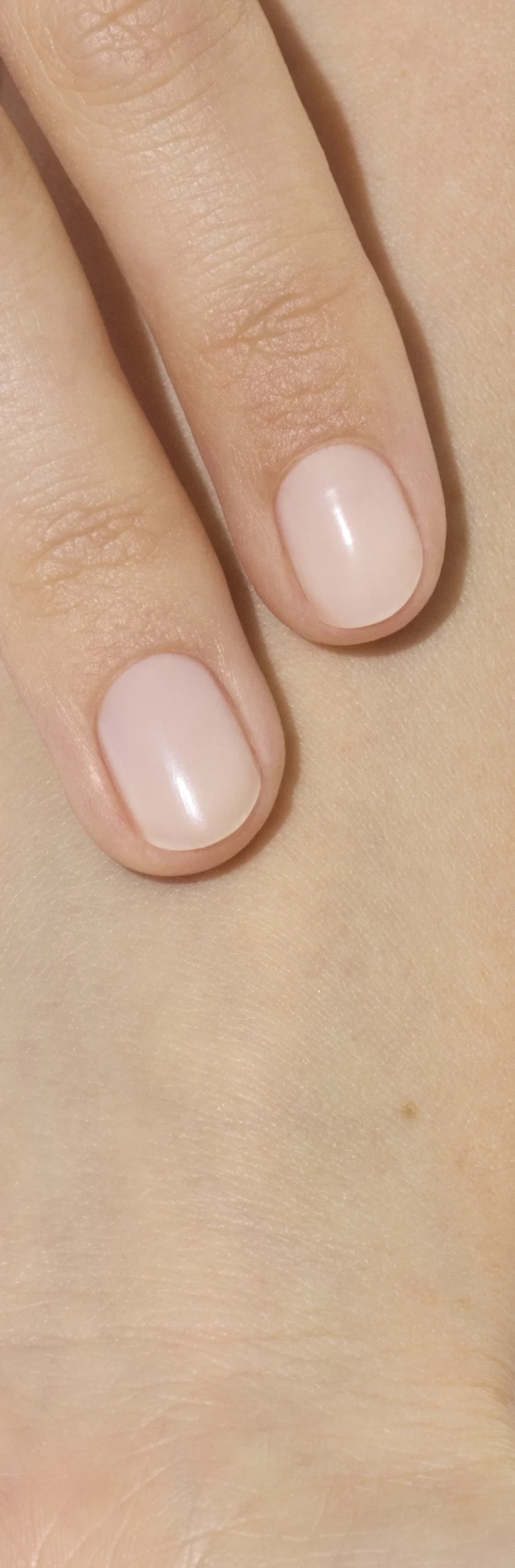 Active Smooth 00 — vue 5