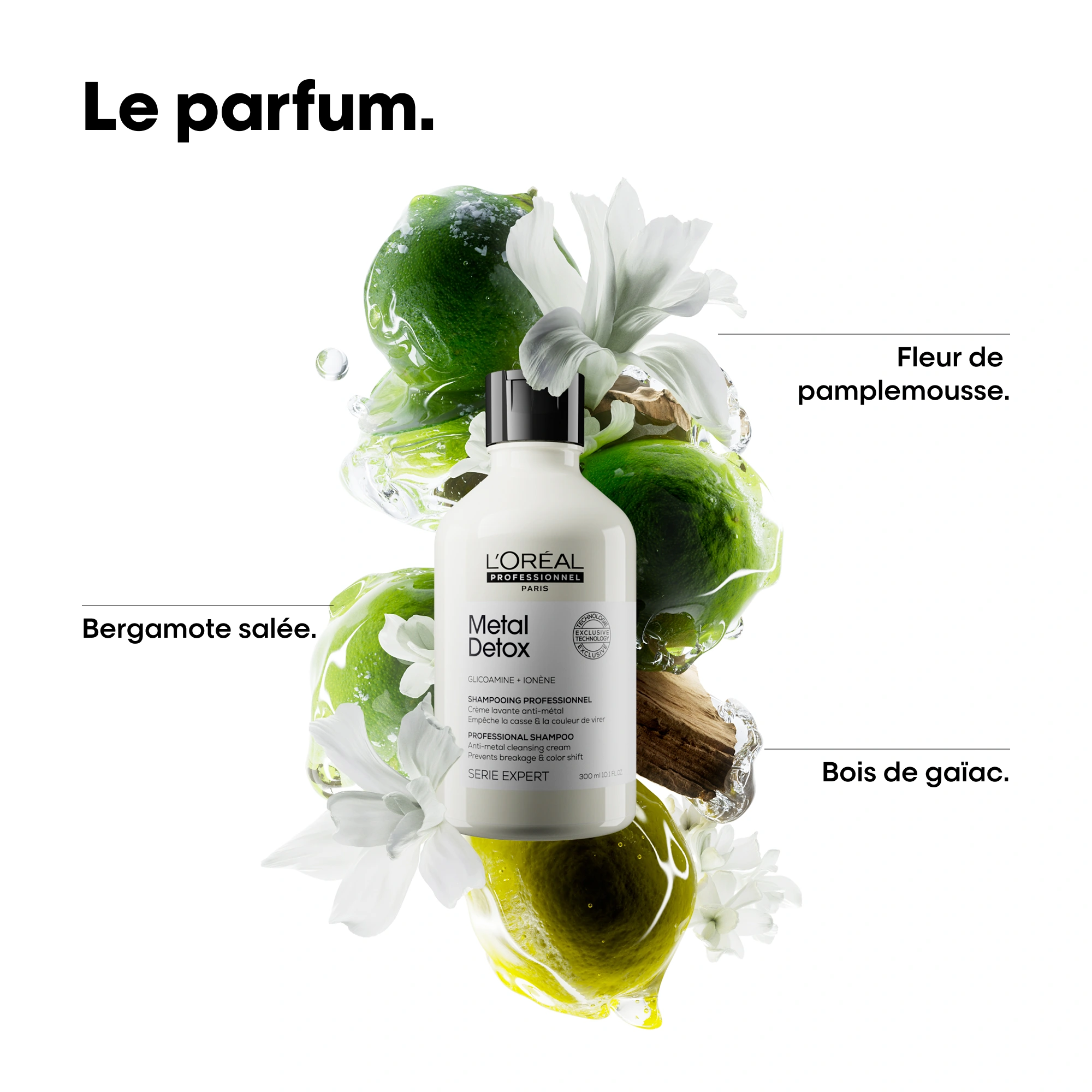 Shampoing Metal Detox L'Oréal Professionnel — vue 4