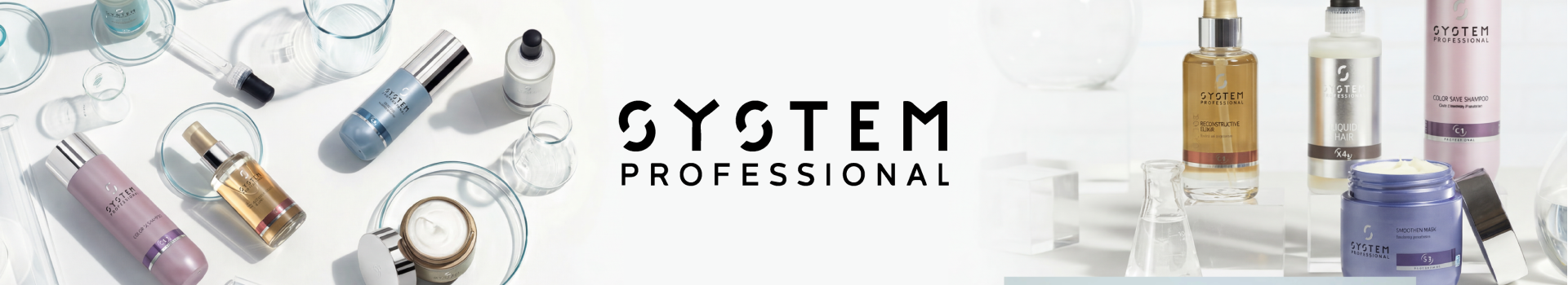 System Professional