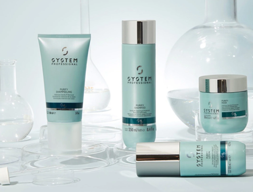 Purify System Professional