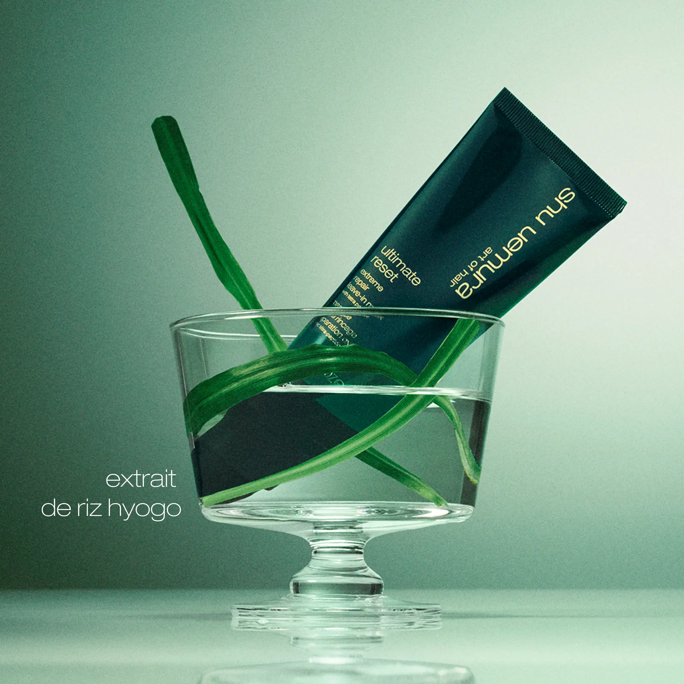 Masque sans rinçage Shu Uemura Art of Hair — vue 6