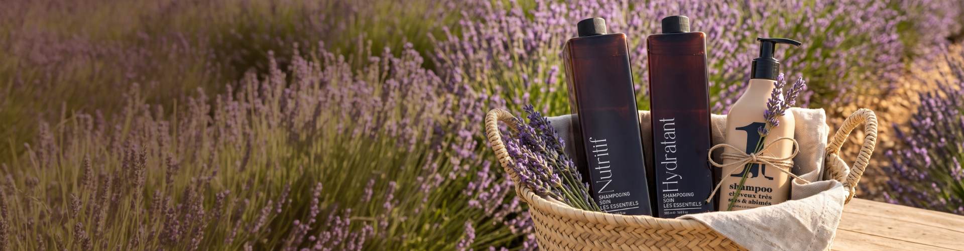 Bannière : Envie de (re)tester Vegetalement Provence ?